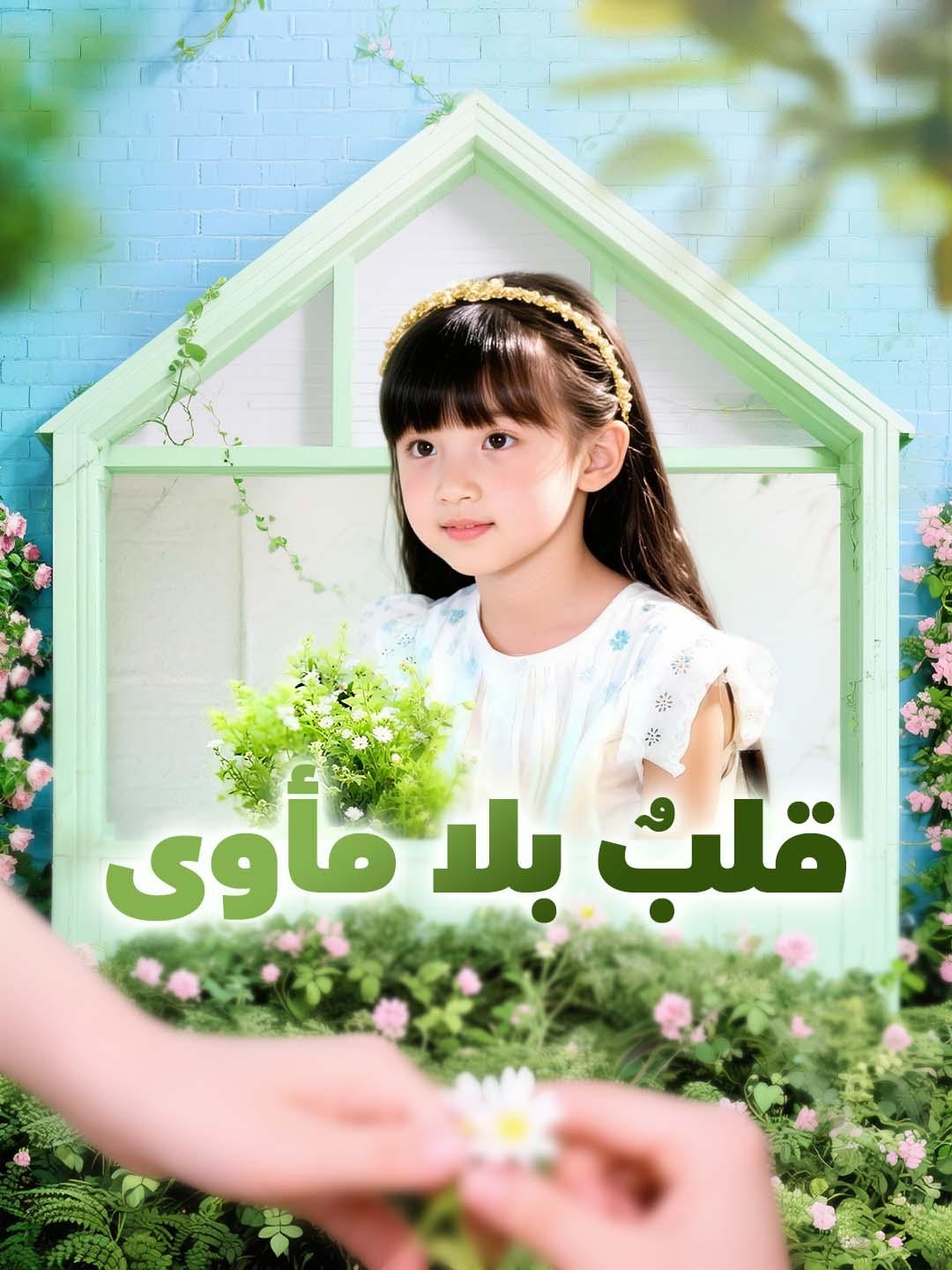قلبٌ بلا مأوى