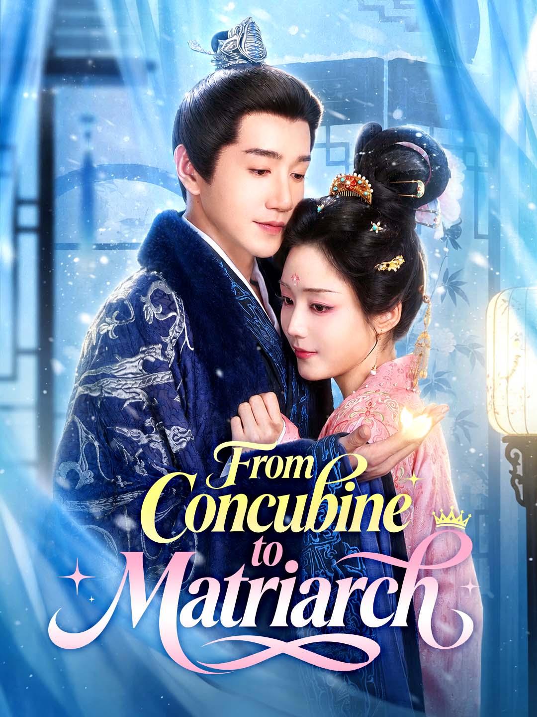 Chinese Drama From Concubine to Matriarch with subtitles - poster